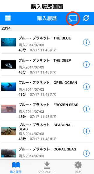 ネガディブキャストボタン&購入履歴画面