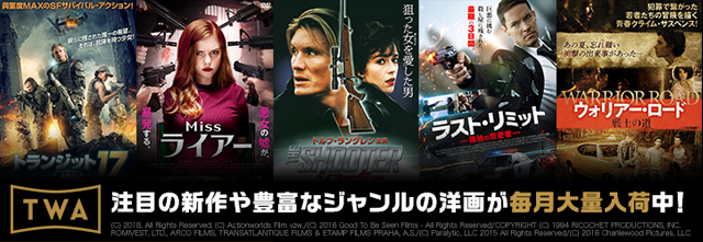 動画配信サービス ビデックスjp