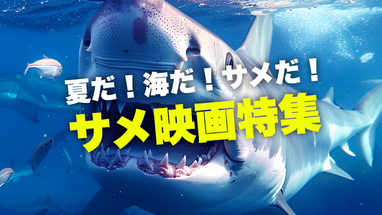 TOPバナー2