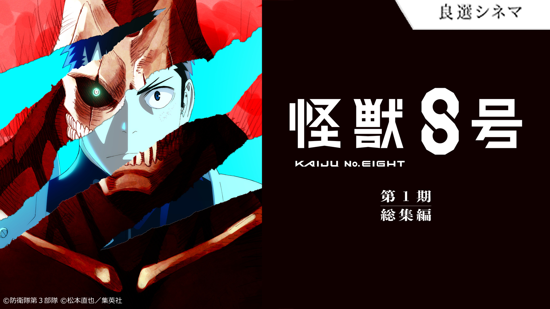 マイシアターD.D. - ビデックス